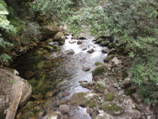 Mossman Gorge Daintree