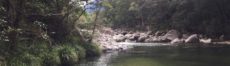 Mossman Gorge Daintree Forest