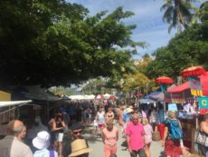 Sunday Market Port Douglas