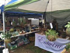 Plant stall Warrandyte Market