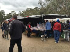 Wrapping paper stall Warrandyte Market