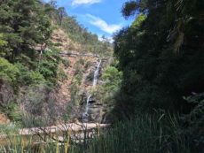 Waterfall Gully Track - Waterfall