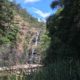 Waterfall Gully Track - Waterfall