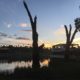 Sunset Buronga Riverside Campsite