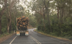 Log Trucks Tarra Valley