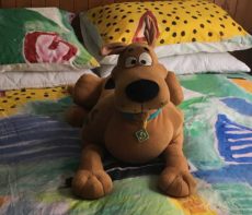 Scooby Doo on bed