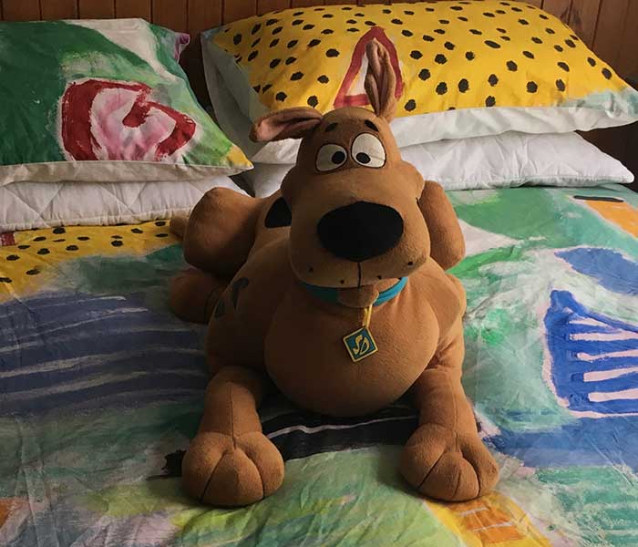 Scooby Doo on bed