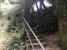 Tarra Falls staircase