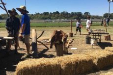 Skins - Lost Trades Fair Kyneton