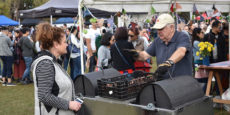 The Chestnut Expert at the Kalorama Chestnut Festival