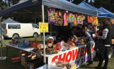 Kalorama Chestnut Festival