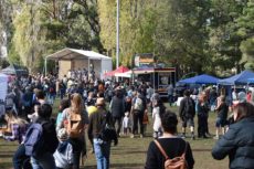 Kalorama Chestnut Festival