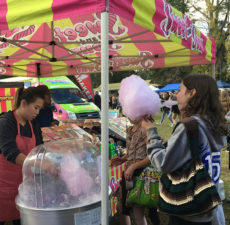 Kalorama Chestnut Festival