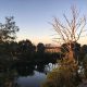 Sunset walk along Mitchell River